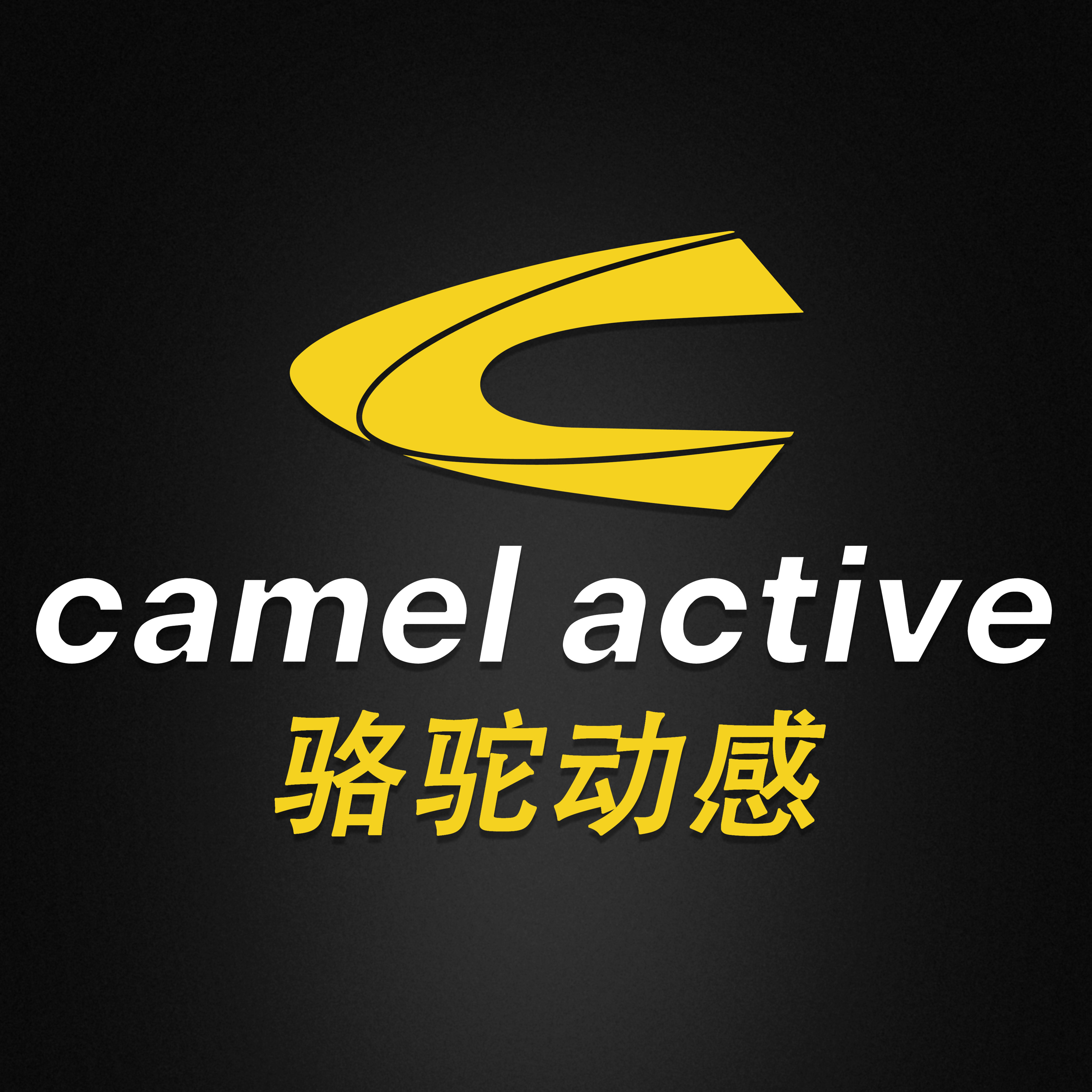 骆驼动感鼎汇专卖店