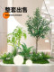 Artificial Green Plant Landscaping Combination for Indoor Use, High-End Fake Plants for Decorating under Stairs and Balconies, Landscape Artificial Tree Decoration