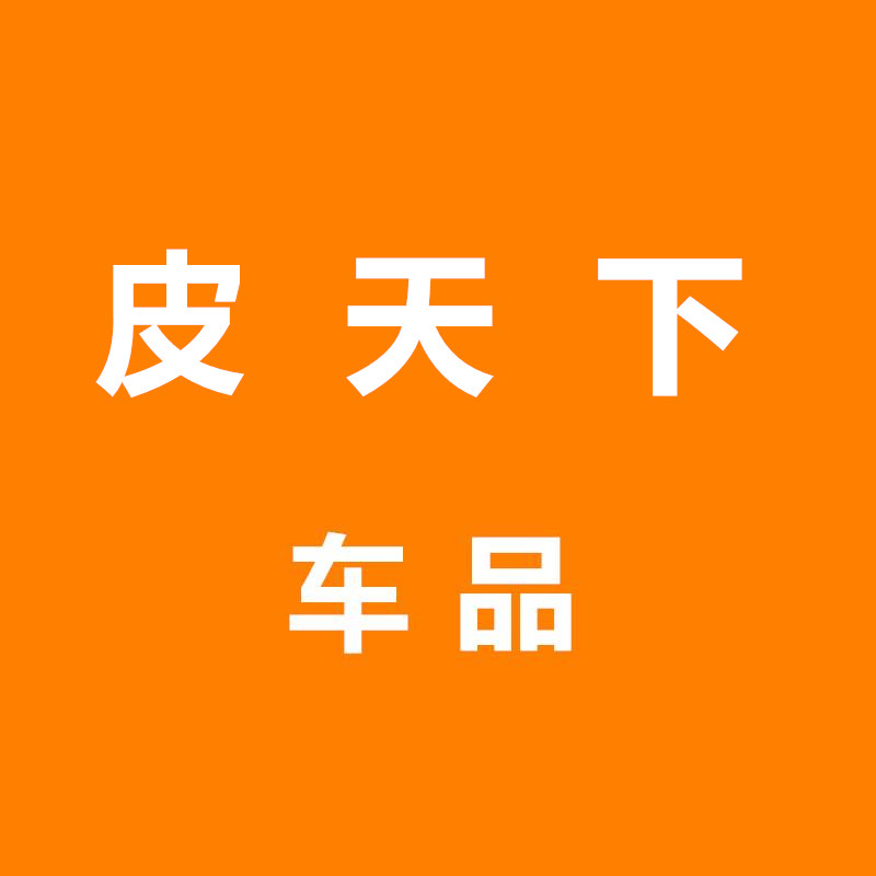 皮天下车品的LOGO
