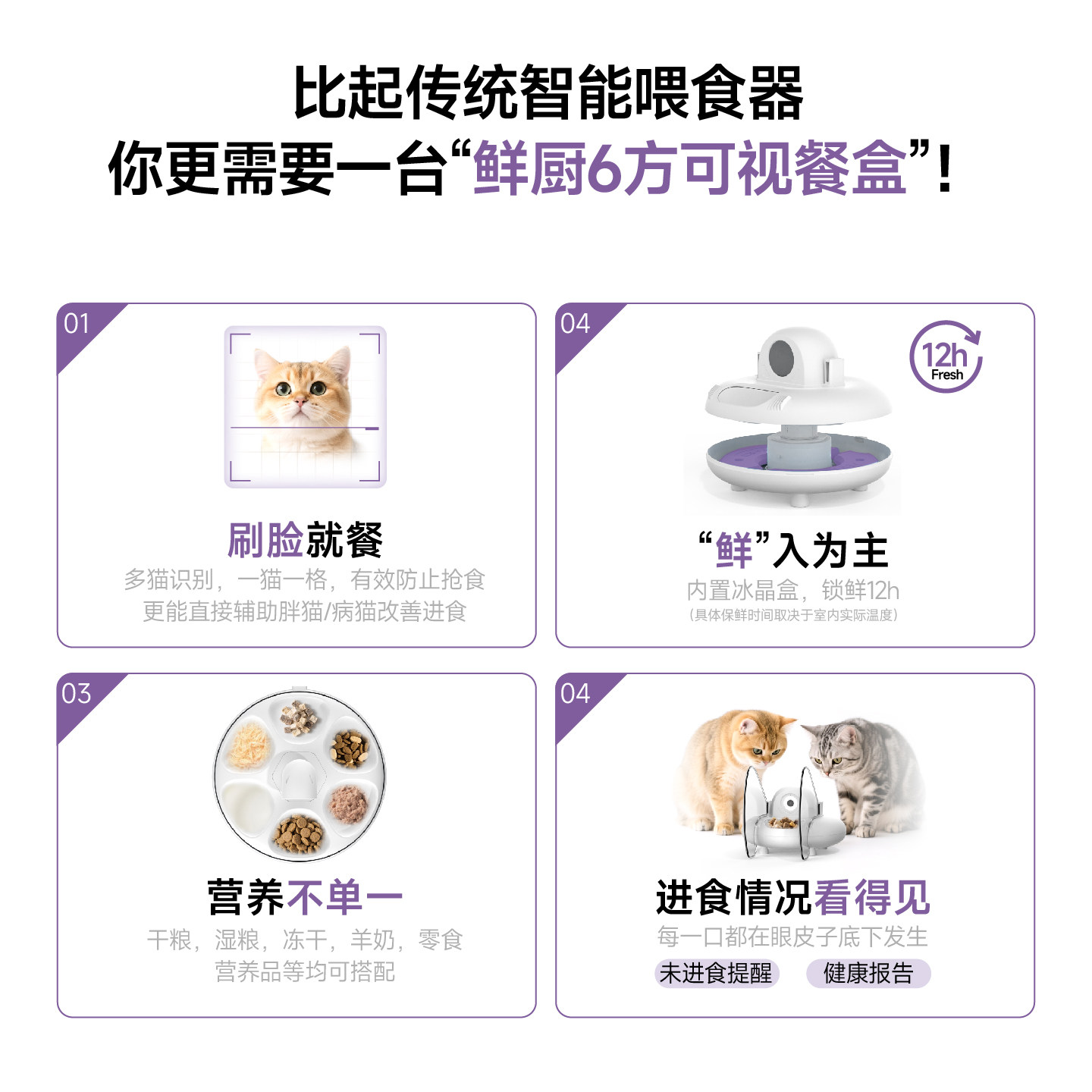 猫咪自动喂食器水分配器选购全攻略：2025智能化趋势下的最佳选择？