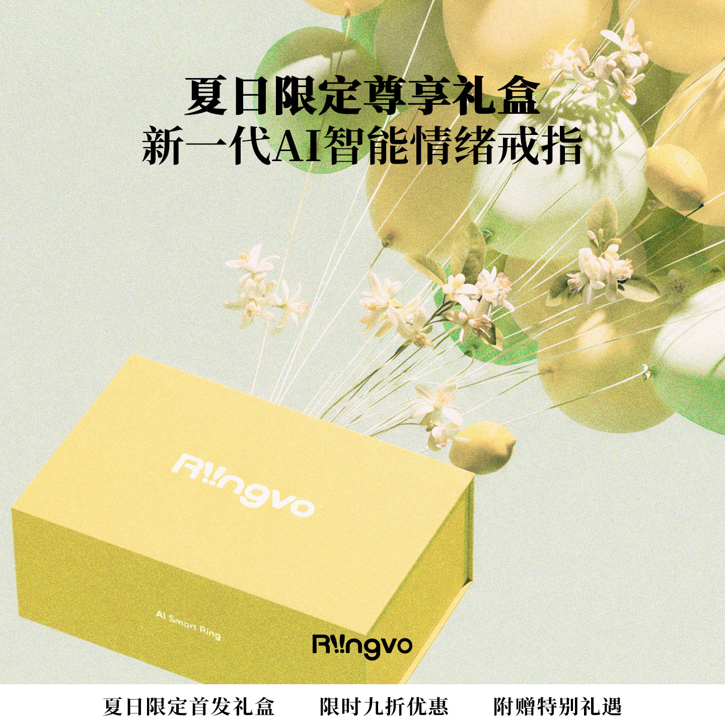 Riingvo gift box summer limited series gift box