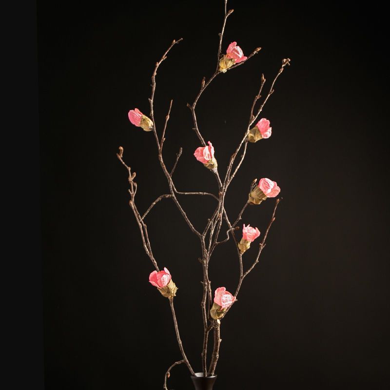 到吉隆坡跟团游价钱，2025年到底要花多少钱？