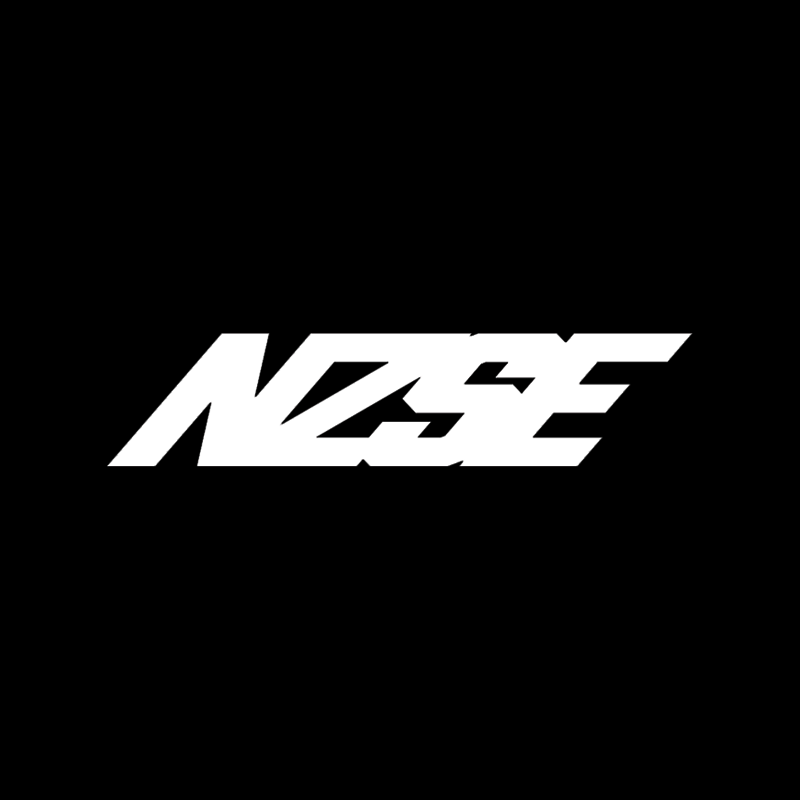 NZSE旗舰店的LOGO