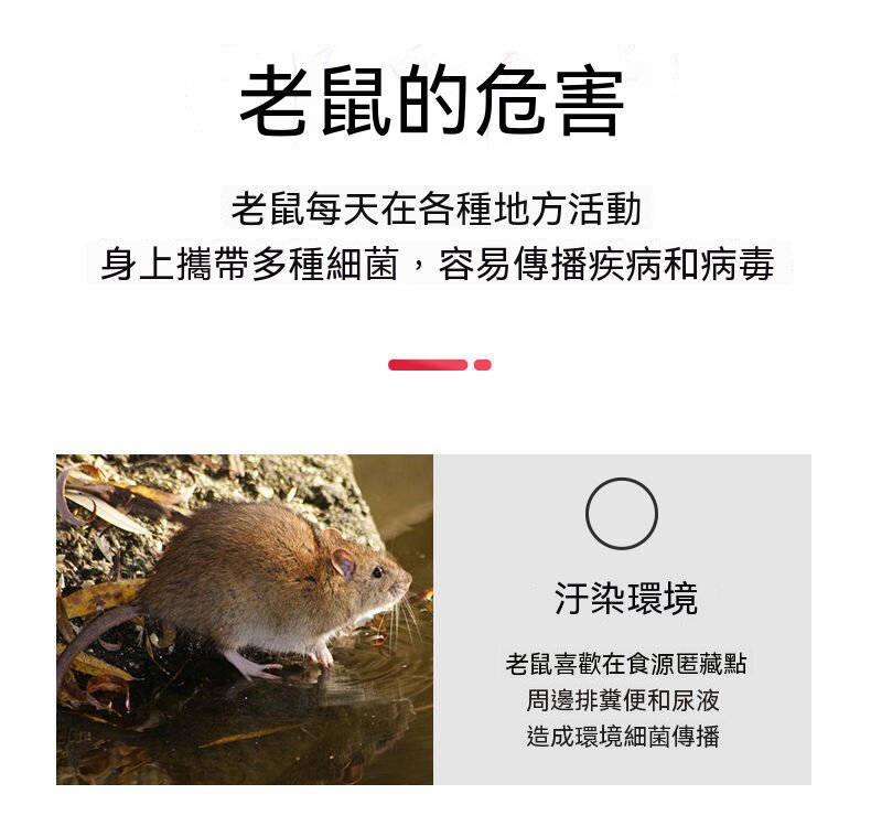 O1CN01CEF7eL29V1kmm1r8N_2211238958072-0-cib.jpg