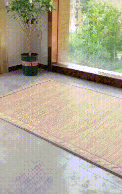 20260430_102907_008.gif