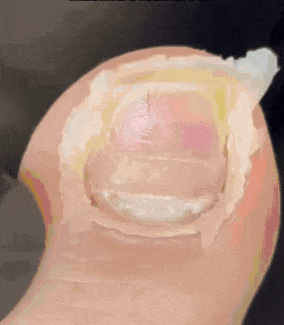 详情10.gif