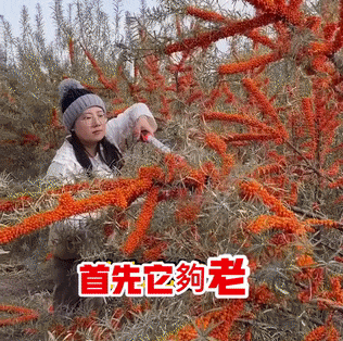 20260519_090714_010.gif
