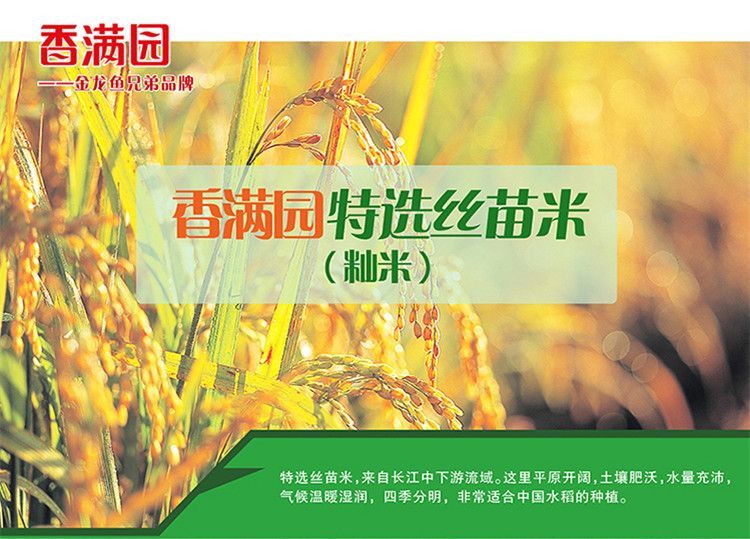 安享好物 安享A级籼米-香满园特选丝苗米 国标 