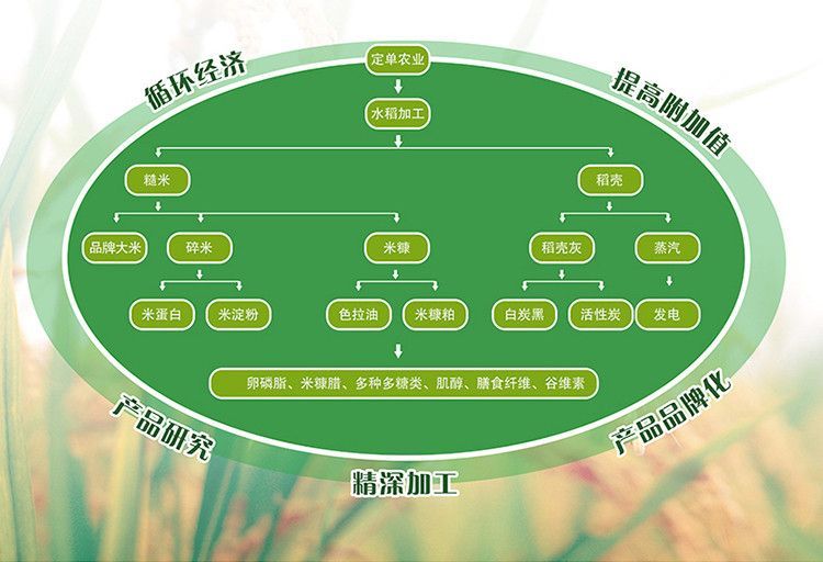 安享好物 安享A级籼米-香满园特选丝苗米 国标 