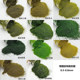 Square-inch micro-landscape simulation terrain powder tree powder sponge particle landscape moss production platform floor decoration