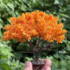 Miniature Yellow-Orange Wire Tree for Autumn Landscape Diorama, Broad-Leaf Tree with Base for Train Railway Layout
