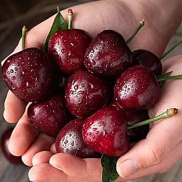 2J两斤57.8！现货进口车厘子礼盒装