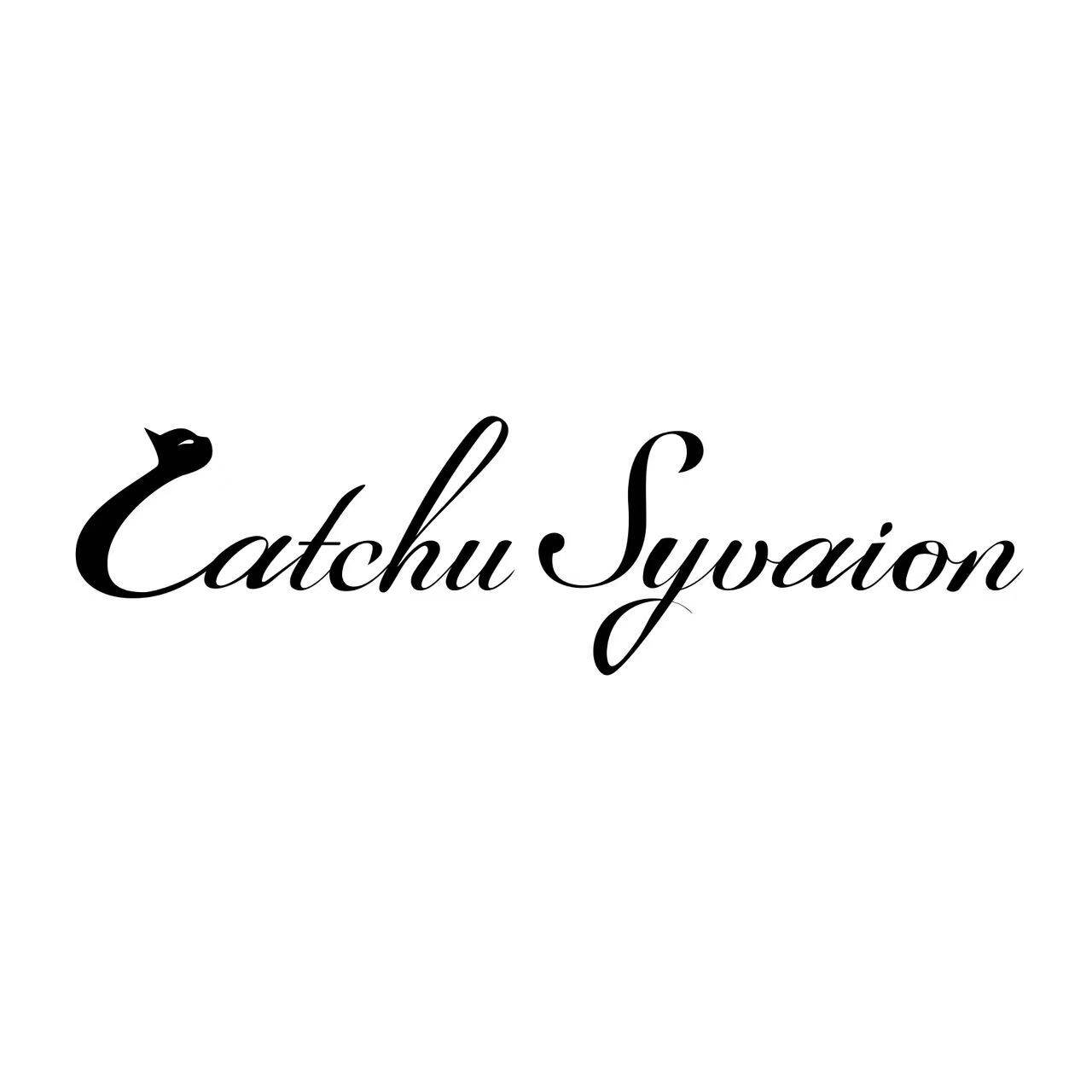 Catchu Syvaion旗舰店