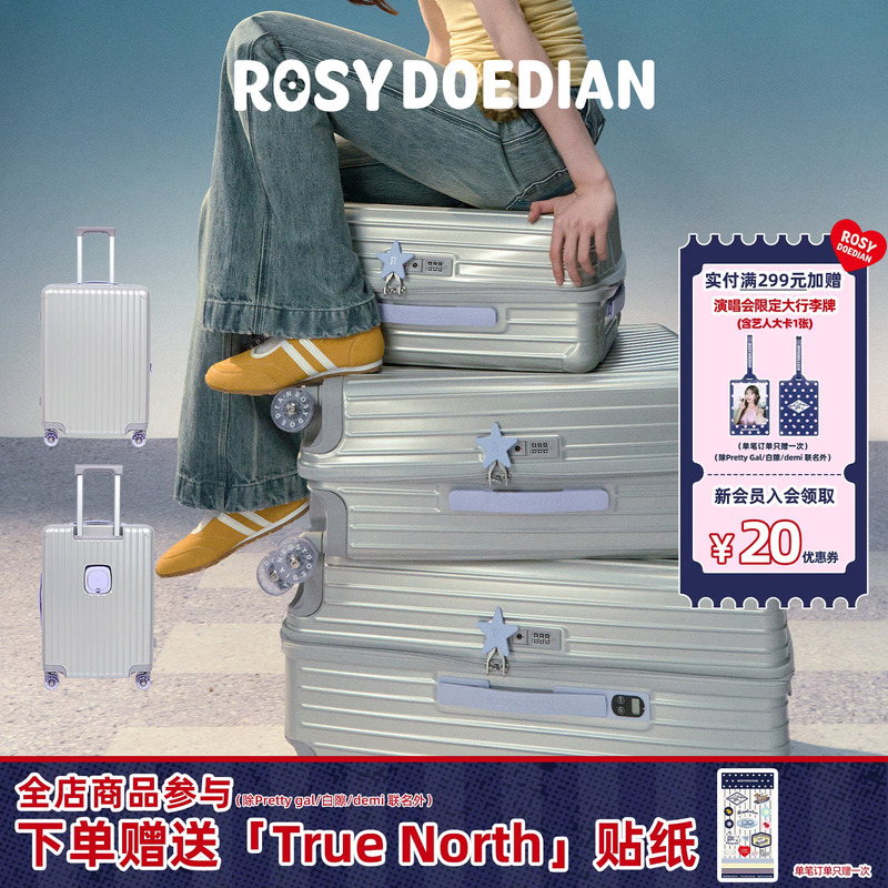 Rosydoedian Found an Organized Suitcase, Large-Capacity Trolley Case, Silver, 20/24/ 26inch