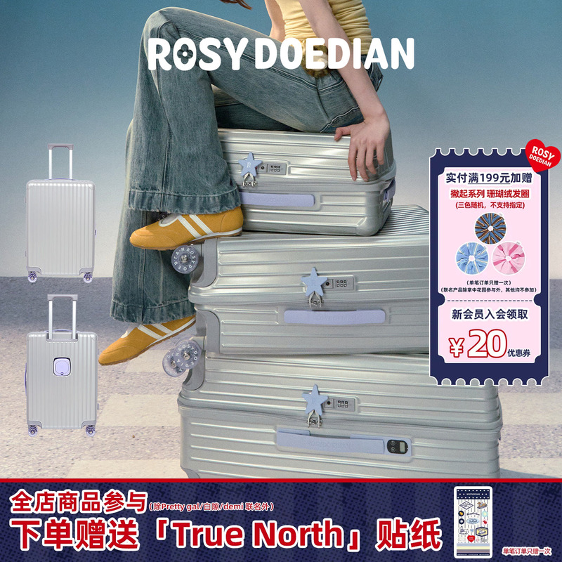 Rosydoedian Found an Organized Suitcase, Large-Capacity Luggage Trolley Case, Silver 20/24/ 26inch