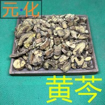 Baïkal skullcap 500 gr Chinese herbal medicine Zhengzong classe spéciale skullcap tea pure poudre skullcap poudre Huang Ling