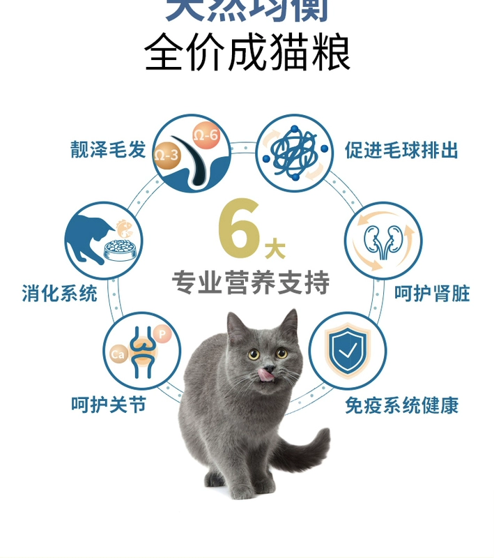 TỪ mèo Formosa thức ăn chủ yếu là cá hồi không có hạt trò chơi thịt bò toàn bộ cá thành mèo con thức ăn cho mèo già 5 lbs 2,26kg - Cat Staples