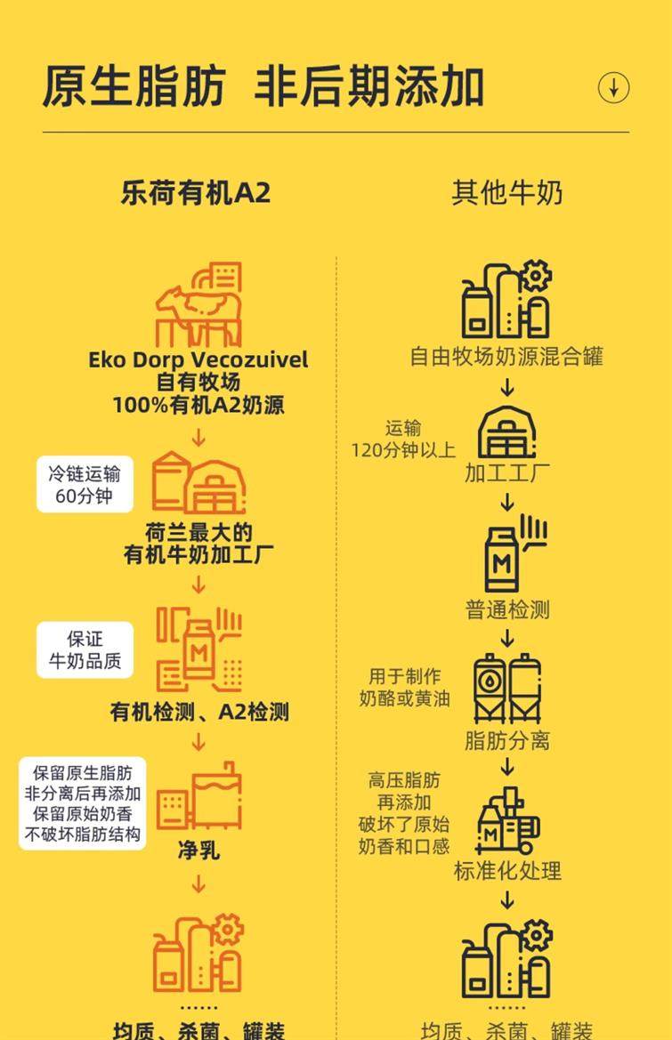 安享好物 安享A级纯奶-乐荷有机牛奶  