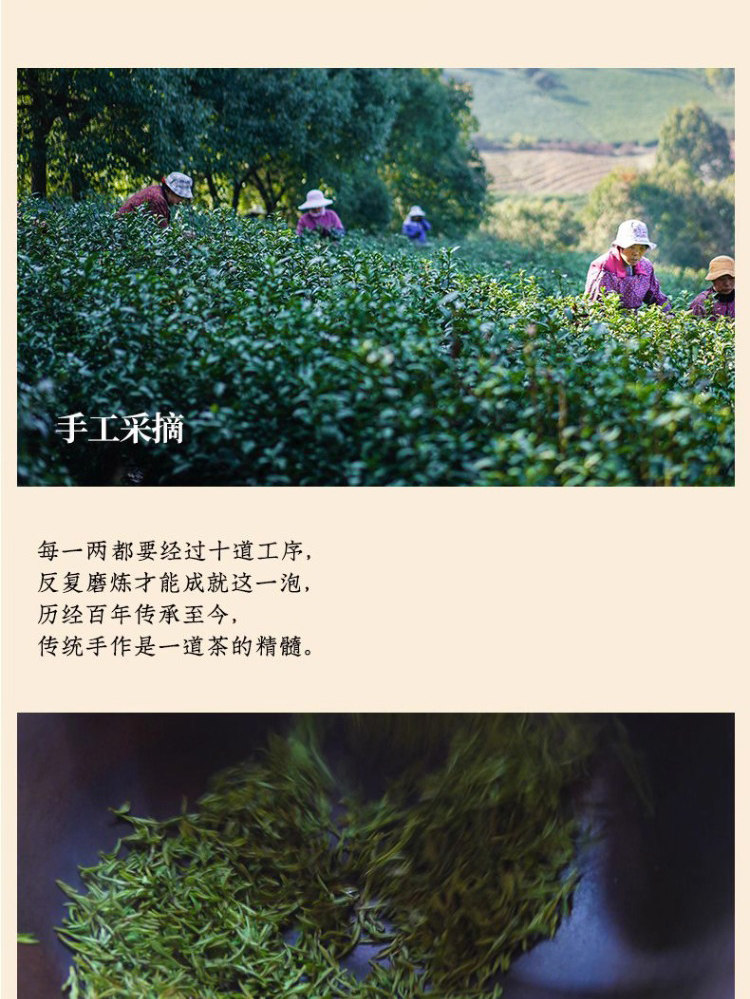 Longjing Green Tea Loose Leaf Pre-Qingming First Grade Fresh Tea for Daily Drinking and Gifting key features