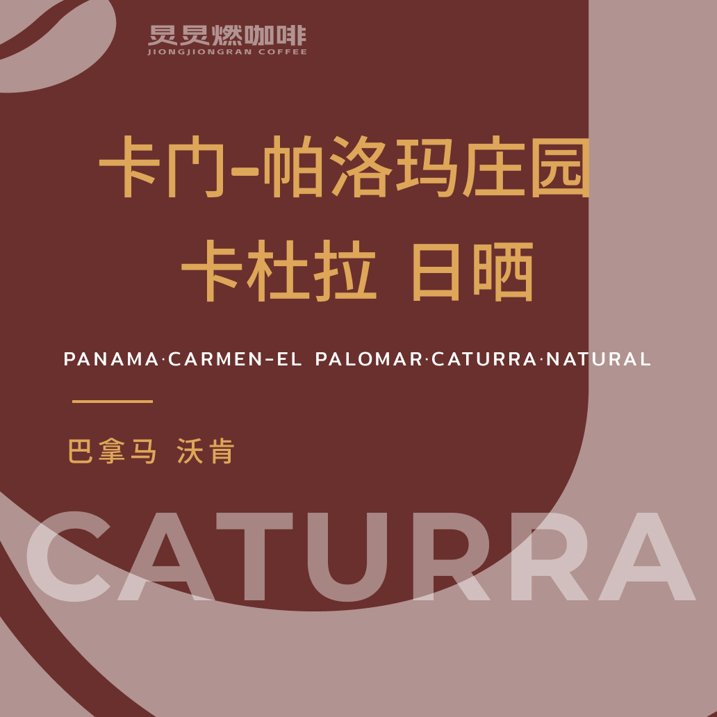 ジョンジョンラン インゲン豆 [25シーズン] パナマ BOP カルメン パロマ エステート カトゥーラ 天日干し/洗浄済み インゲン豆