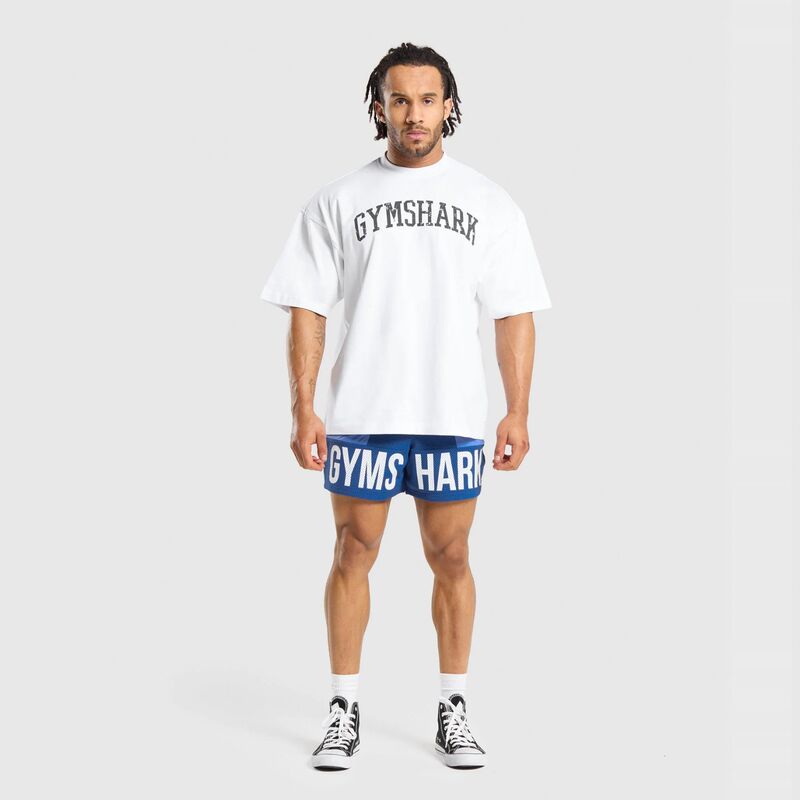 Shark Sports Fitness Mesh Breathable Quick-Drying Shorts Summer New Color-Block Zipper Casual Shorts