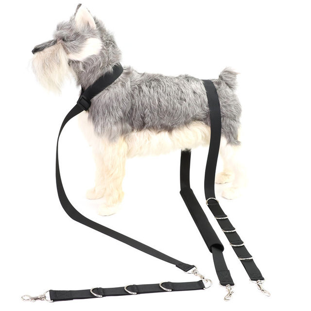 Dog Hammock Grooming Stand New Pet Supplies Bathing Sling Adjustable Leash for Small and Medium-Sized Pets