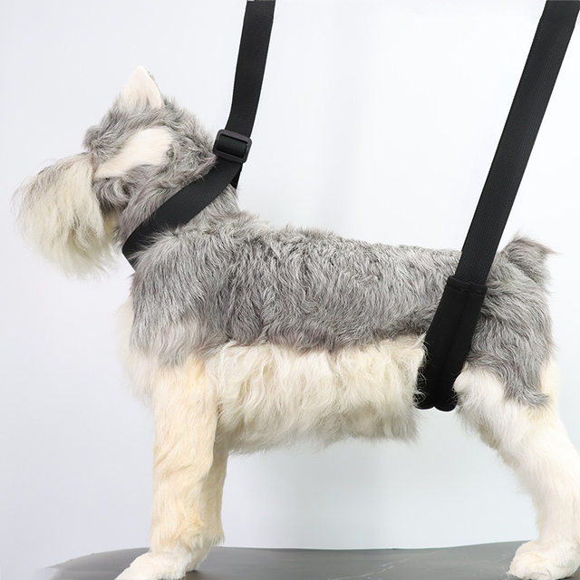 Dog Hammock Grooming Stand New Pet Supplies Bathing Sling Adjustable Leash for Small and Medium-Sized Pets