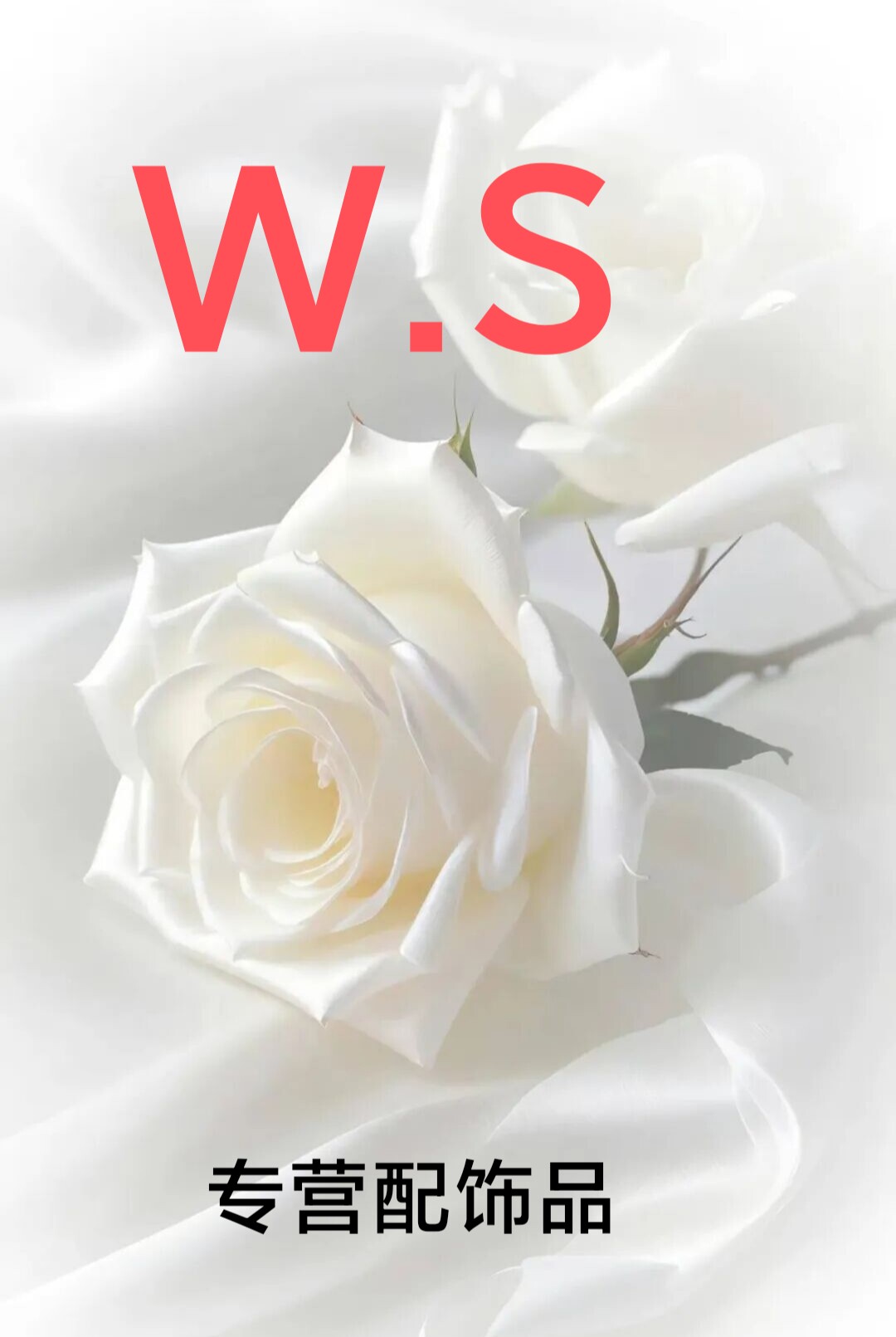 WS服饰配饰皮具工坊的LOGO