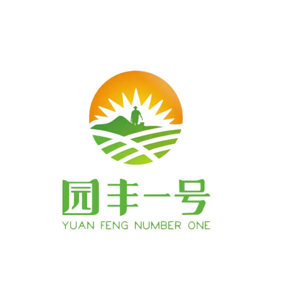 园丰一号旗舰店的LOGO