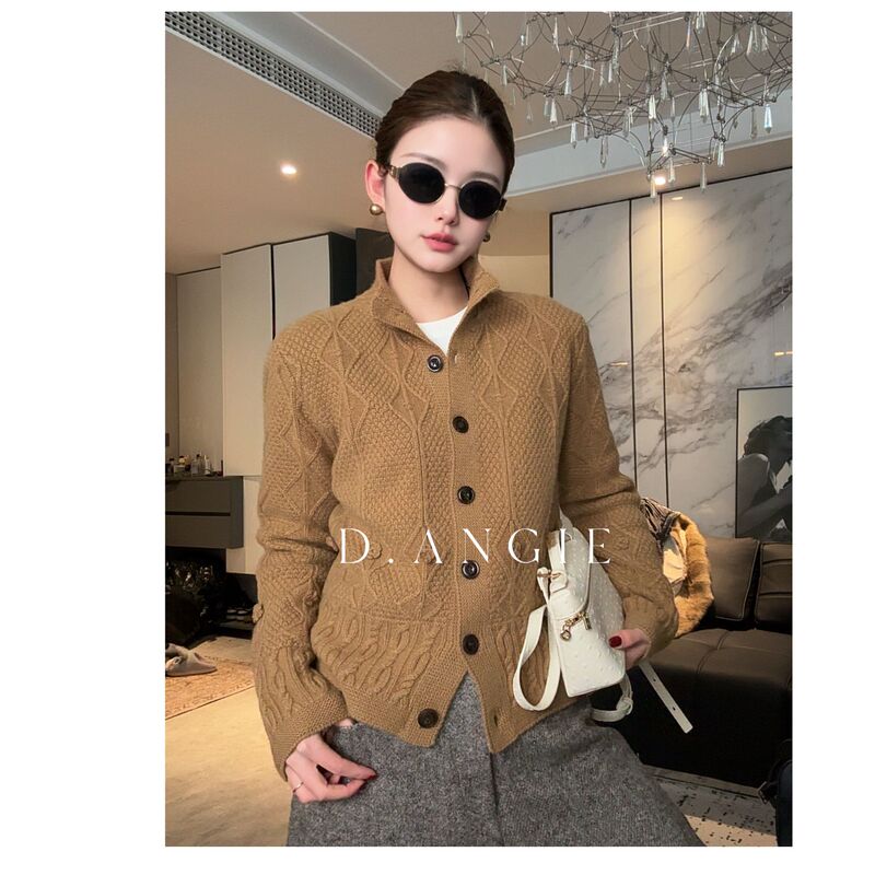D.Angie Angie [Cashew] Wool Sweater Knitted Sweater 2025 Winter New Unique and Beautiful Top for Women
