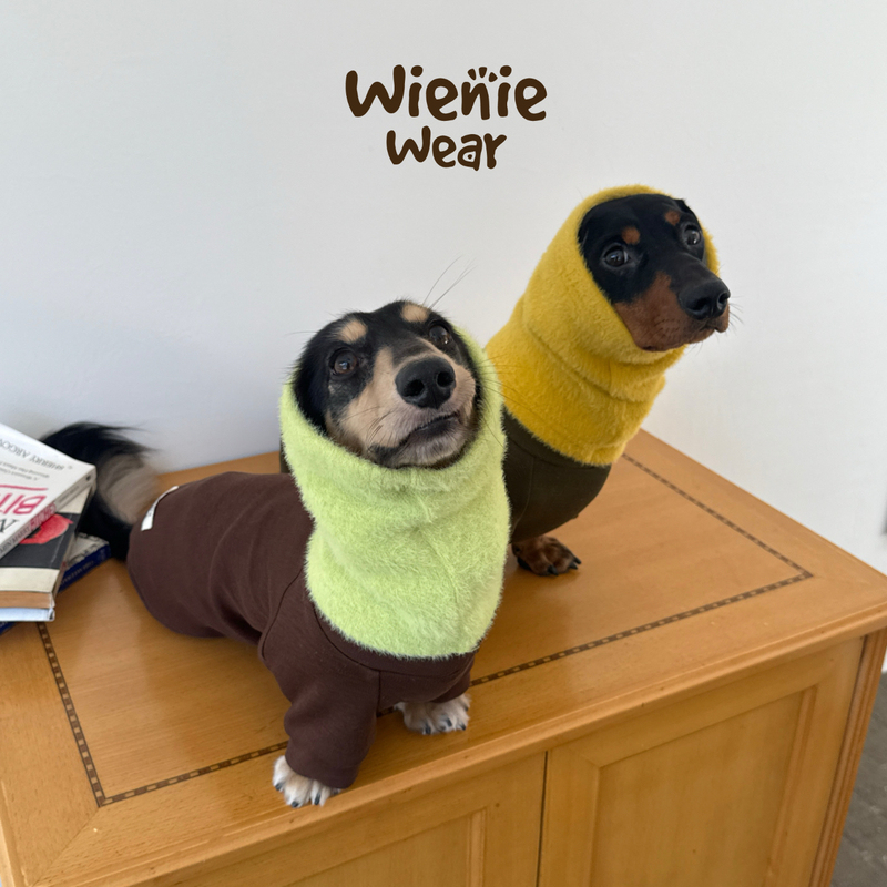 Wienie Wear Autumn and Winter Three-Color Four-Legged Clothing for Dachshunds, Coffee Green Neck Cover, Detachable Warm Dog Clothes