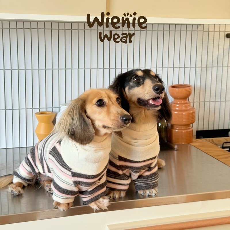 Wienie Wear Autumn and Winter Warm Dachshund Clothes Rabbit Fur Four-Legged Clothing Dog Clothes Base Layer Shirt Wienie Wear Autumn and Winter Warm Dachshund Clothes Rabbit Fur Four-Legged Clothing Dog Clothes Base Layer Shirt