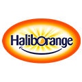 Haliborange海外旗舰店的LOGO