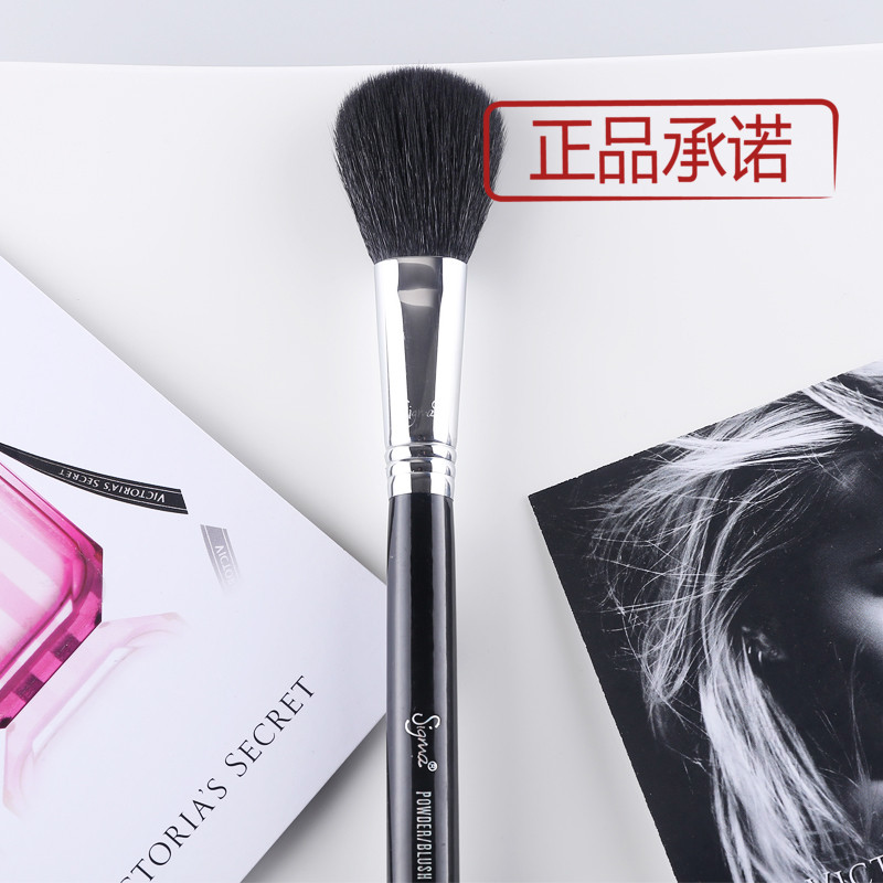 现货美国正品Sigma化妆刷动物羊毛专业散粉定妆高光腮红刷F10包邮