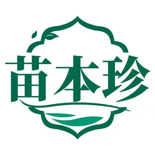 苗本珍医疗器械旗舰店