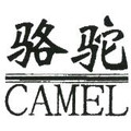 CAMEL骆驼遥领专卖店