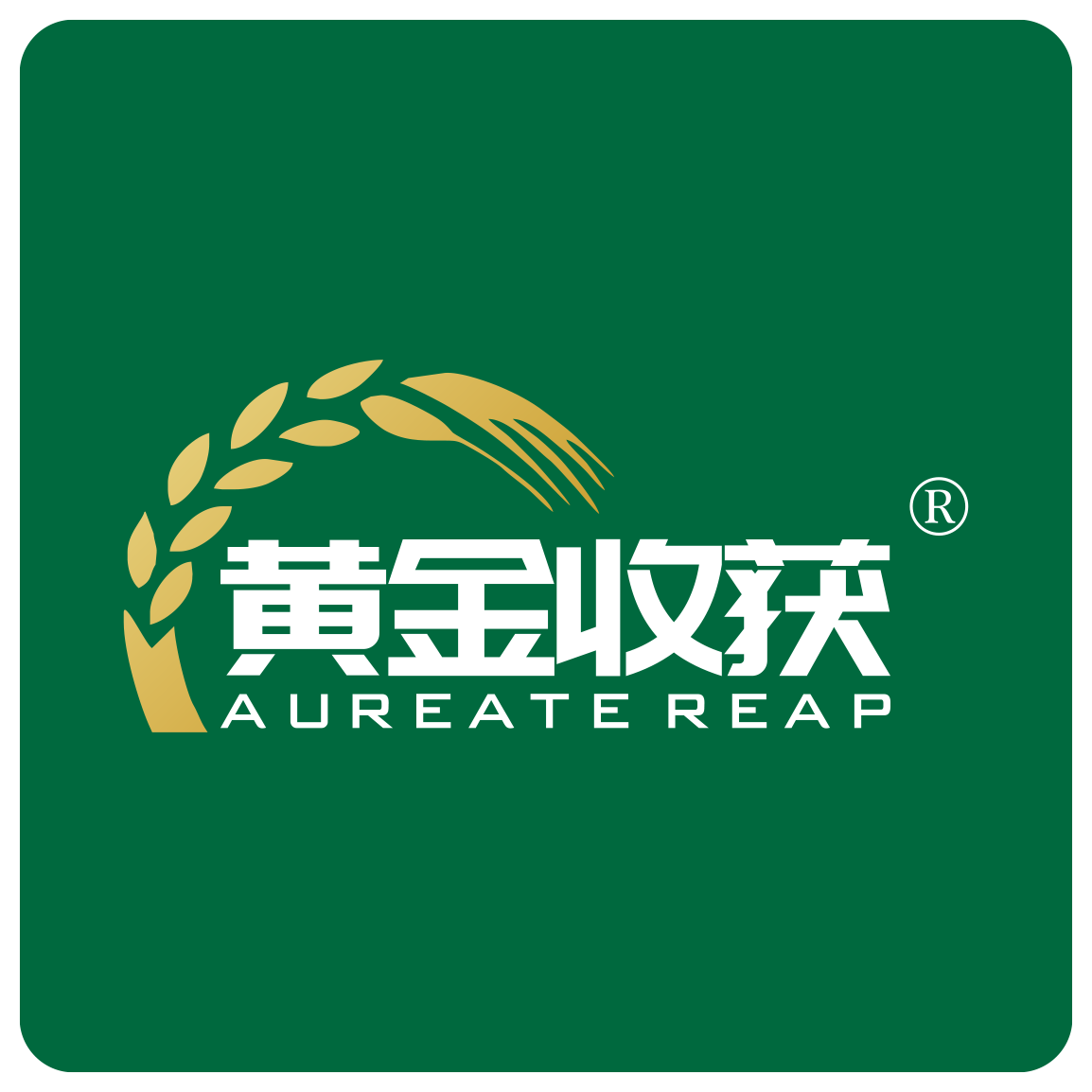 黄金收获旗舰店的LOGO