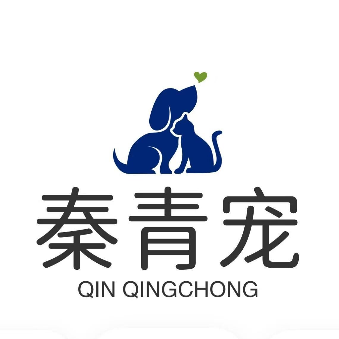 秦青宠边牧宠物