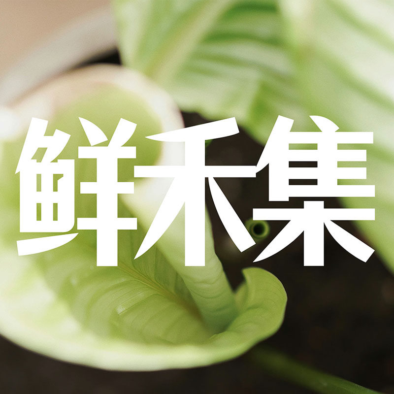 鲜禾集的LOGO