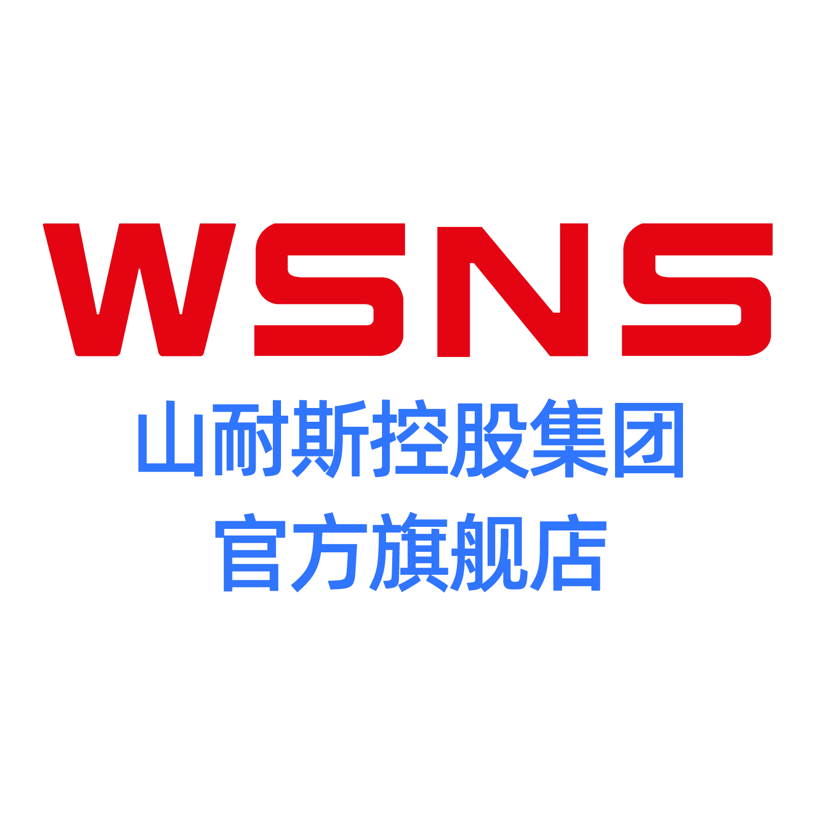 中国山耐斯控股集团企业店的LOGO