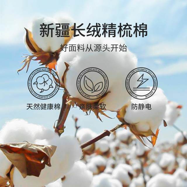 Thermal Underwear Set for Women, Thickened and Fleece-Lined, Seamless, Heat-Generating, Pure Cotton Base Layer, Winter