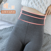 Leggings socks womens autumn and winter velvet thickened outer wear one-piece cotton large size matte cotton with feet solid color warm pantyhose