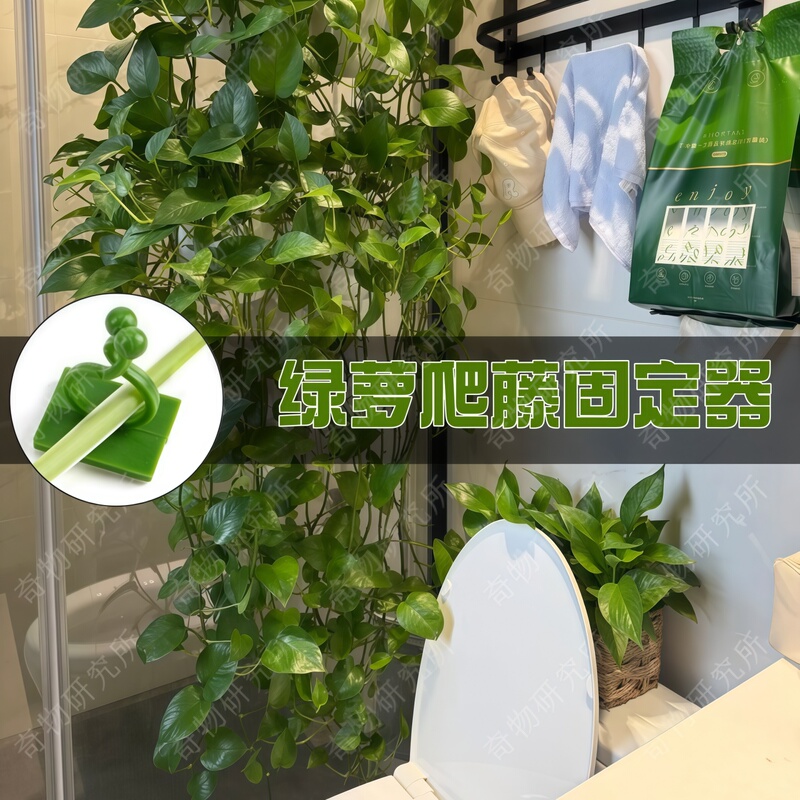 Green Vine Climbing Plant Wall Mount Outdoor Clip Rose Branch Holder Traceless Adhesive Hook Wall Vine