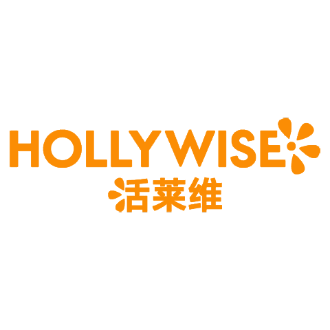 HOLLYWISE海外旗舰店