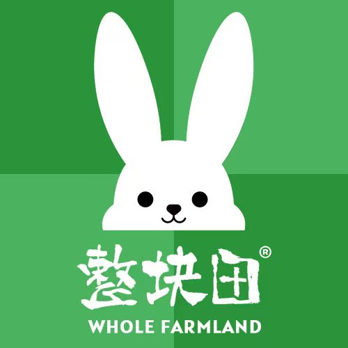 整块田旗舰店