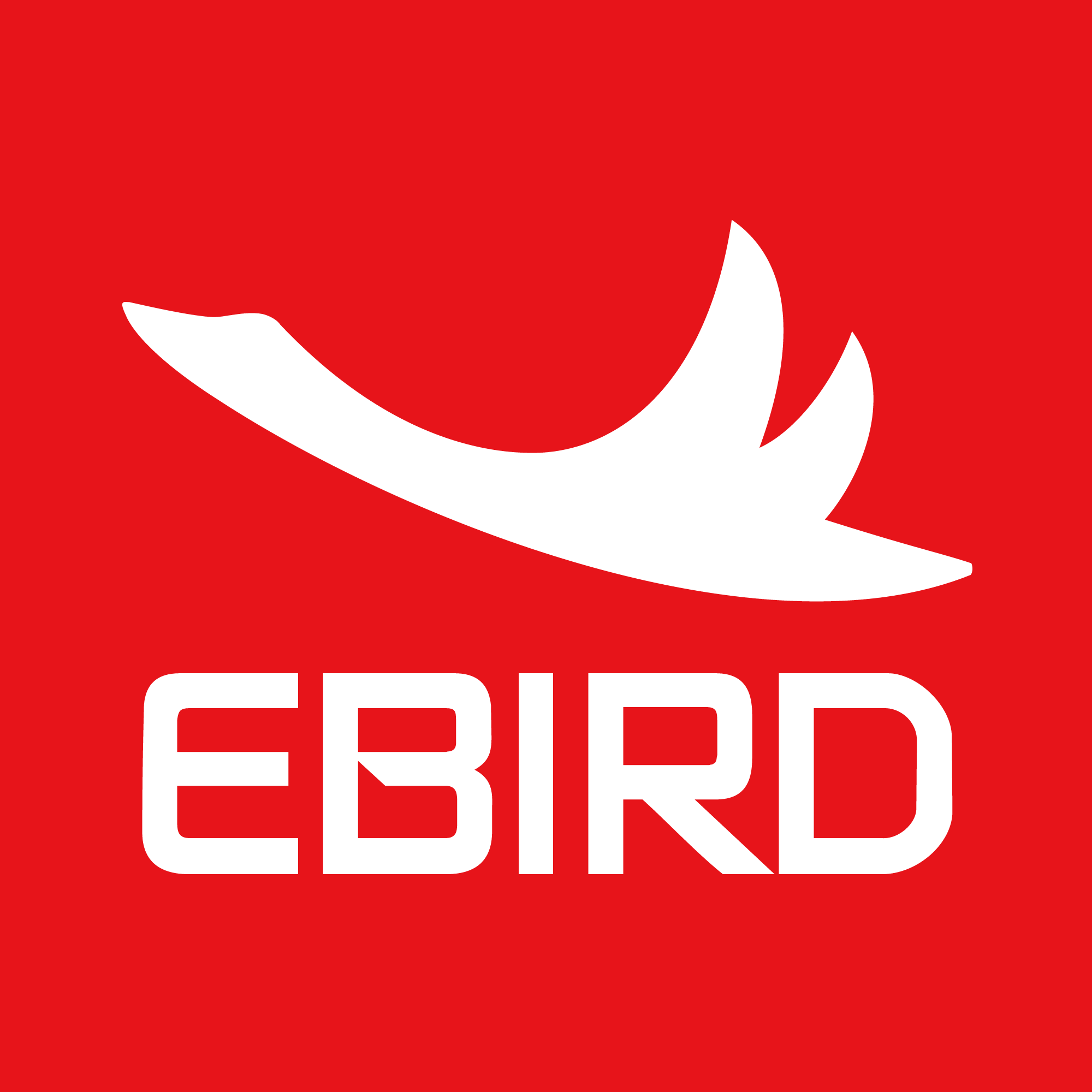 EBIRD衣贝得