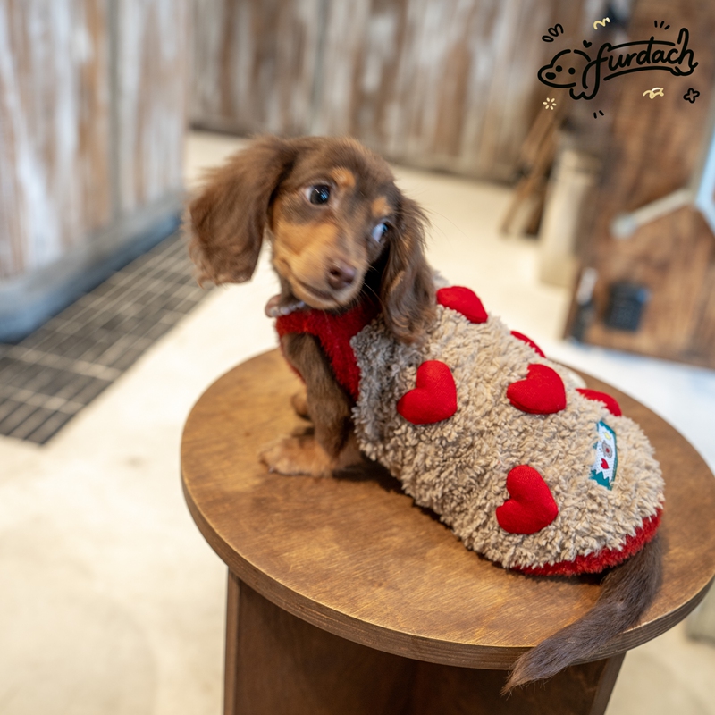 Furdach Dachshund-Specific Clothing, Spring and Autumn Warm Plush Sling Vest, Belly Protection, Warm Vest for Small Short-Legged Dogs