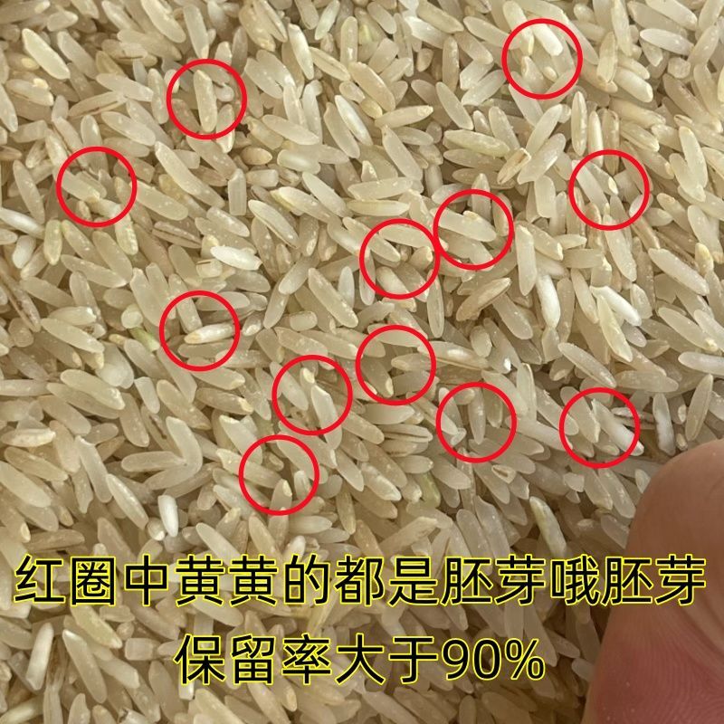 张玄化推荐的胚芽籼米有哪些营养价值？-大蒜-淘宝百科网