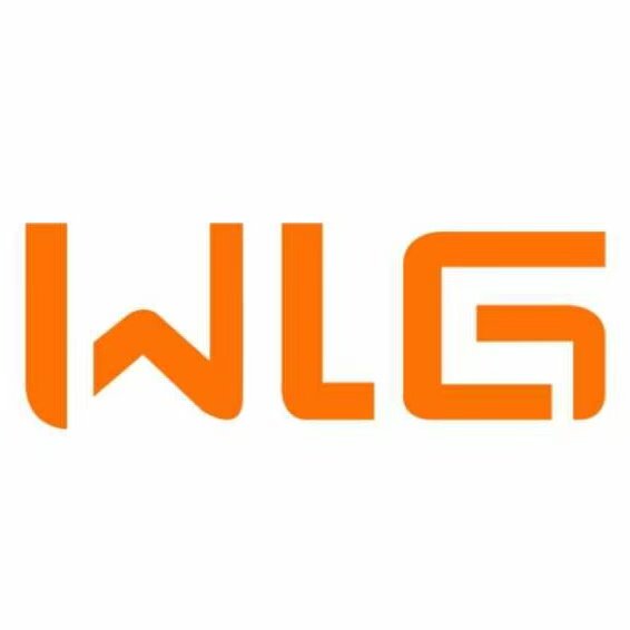 维立光照明旗舰店的LOGO