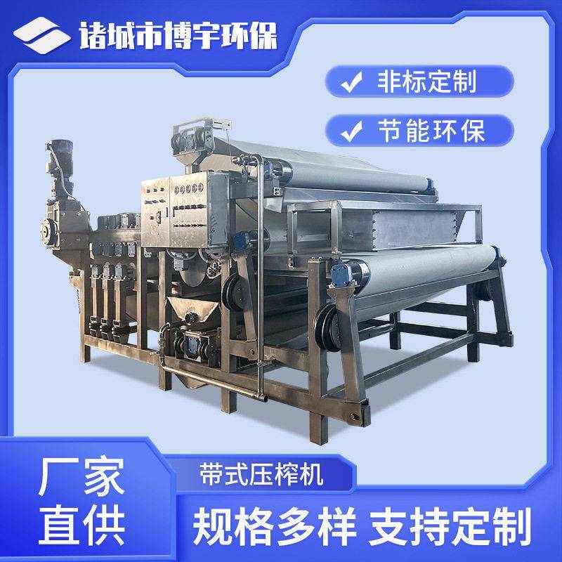 Boyu Bayberry Juice Filter Machine Industrial Large-Scale Fruit Wine Press Machine 304 Stainless Steel Double-Roller Juicer